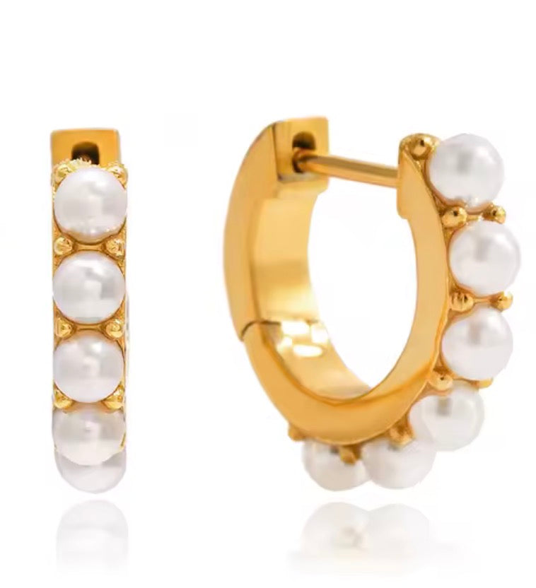The Ashlee Earrings