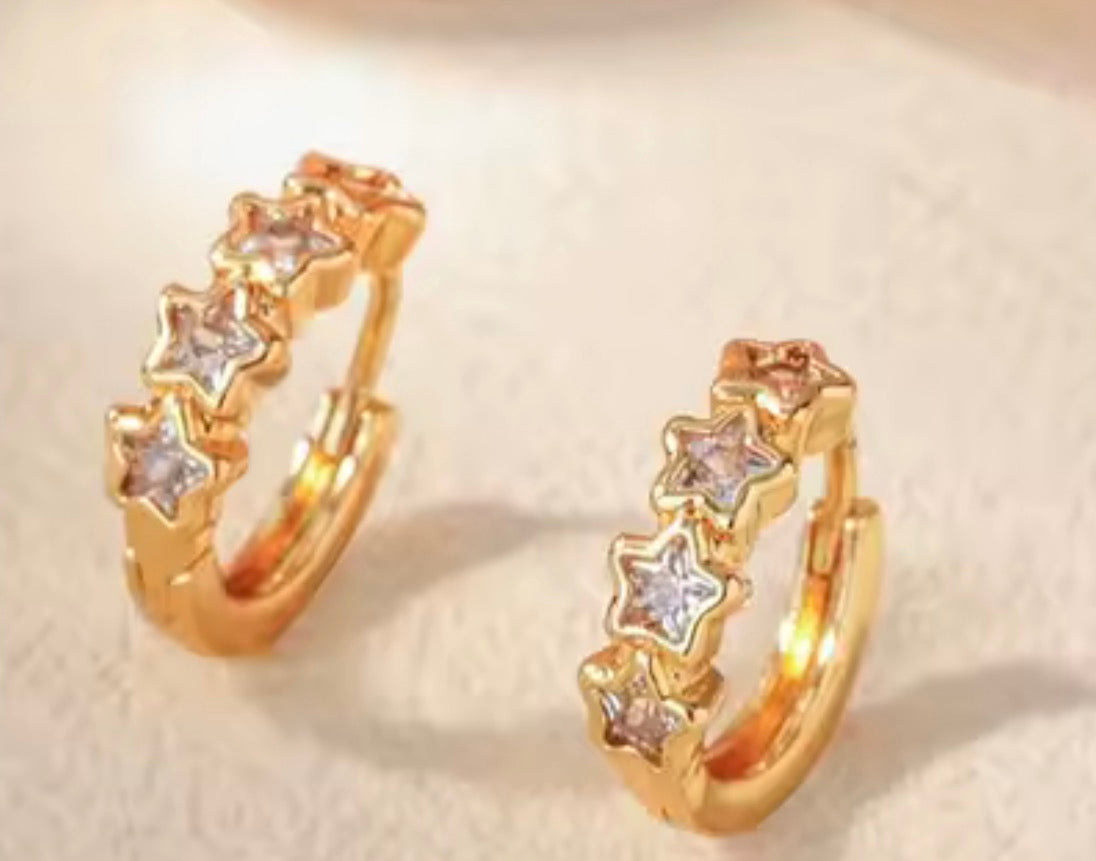 The Rainey Earrings